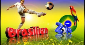 WM Brasilien