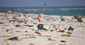 Vermüllter Strand in Hawaii. Bild: Flickr / U.S. Flish and Wildlife Service CC-BY 2.0