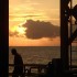 Bild: Flickr /  papagaio-pirata CC-BY-SA 2.0
