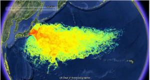 Direkte radioaktive Verseuchung aus Fukushima Daiichi